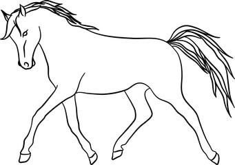 Pose Horse Outline Illustration Vector