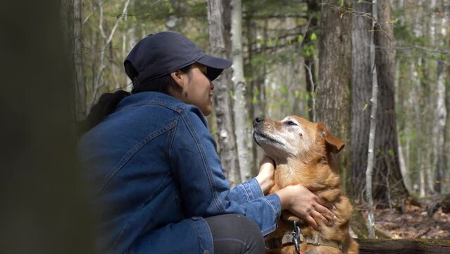 Pretty young diverse woman loving petting and showing love to her adorable senior dog in the woods of upstate new york. Smiling and happy they are so cute in nature. Making kissy face 4K slow motion