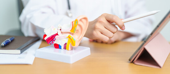 Doctor with human Ear anatomy model with tablet. Ear disease, Atresia, Otitis Media, Pertorated...