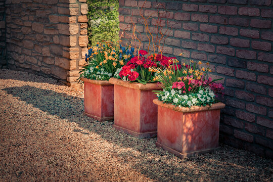 Fowers in the pot on brick wall background. Marvelous spring scene of botanical garden of Essen town. Splendid outdoor scene in Germany, Europe. Beautiful floral background.