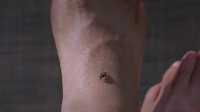 Fly on the foot of a causation
