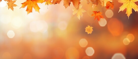Naklejka na ściany i meble Autumnal background with yellow leaves 