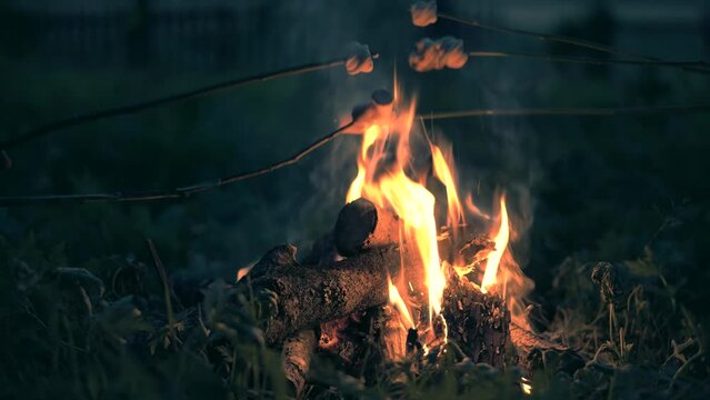 Toasting marshmallows on sticks on fire . 