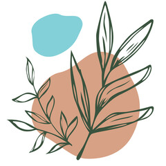 illustration of a plant floral decoration on transparent background