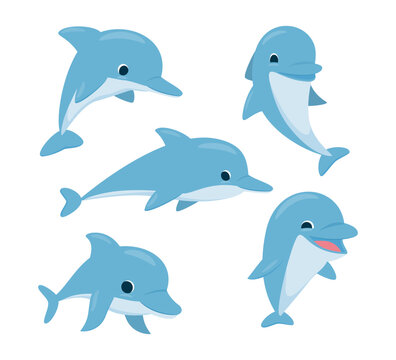 Set of cute sea dolphins. Vector illustration isolated on white background.