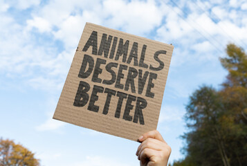 Woman holding placard sign with text Animals deserve better, during animal rights march. Protestor with cardboard banner at protest rally demonstration. - obrazy, fototapety, plakaty