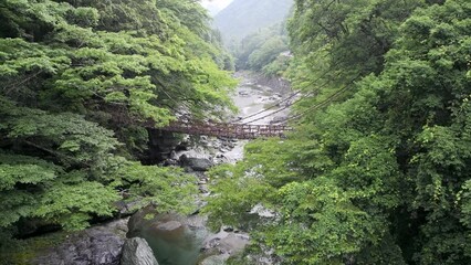 Tokushima, Japan - June 25, 2023: Iya vine bridge or Iya Kazura bridge. A suspension bridge made of the plant called Shirakuchikazura.
