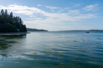 Tolmie State Park waterftront in June 2023