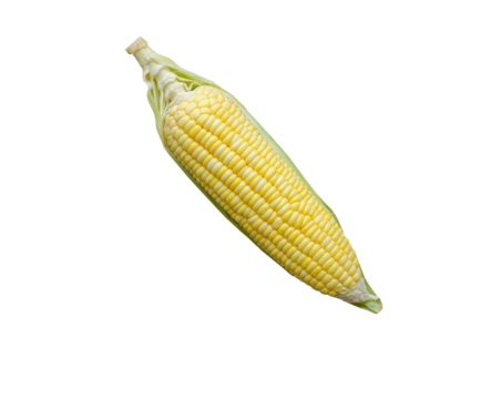 one corn on transparent background, top view
