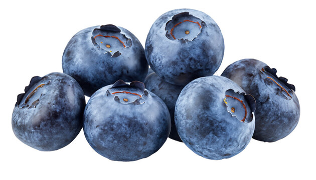 Blueberry, isolated on white background