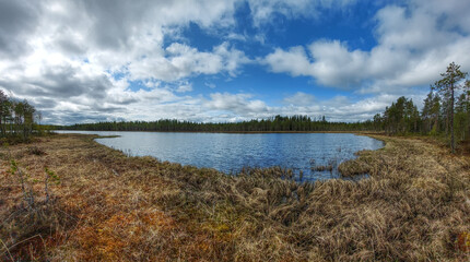Boggy lakeside of a small lake in northern Sweden