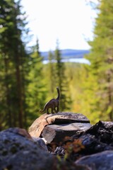 Toy dinosaur viewing a magificent outlook in nature