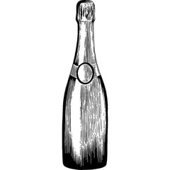 Hand drawn Bottle of Champagne Sketch Illustration
