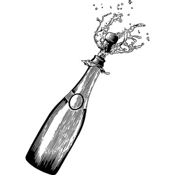 recommend clip art: Hand drawn Champagne Bottle Popping Sketch Illustration
