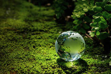 The crystal globe orb rests on the moss in the forest. The sunlight hits the globe, reflecting...