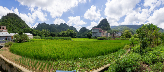 Chinese landscape in the mountains with a planted rice field in the foreground panorama