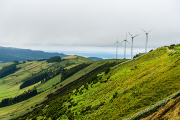 Panoramic view of wind farm or wind park, with high wind turbines for generation electricity with...