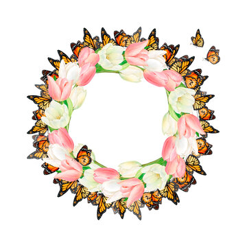 Watercolour drawn wreath from beautiful pink and white tulip flowers and butterflies on white background. Perfect for sticker, logo, napkin, textile printing