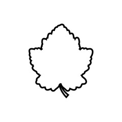 Grape leaf icon vector. Wine illustration sign. Wine shop symbol. Wine house logo.