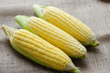 group corn on brown cloth bag, side view and closeup