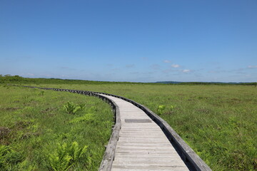 釧路湿原　温根内木道