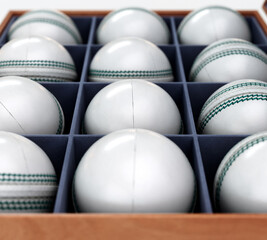 Cricket Balls In Display Box