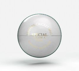 White Cricket Ball