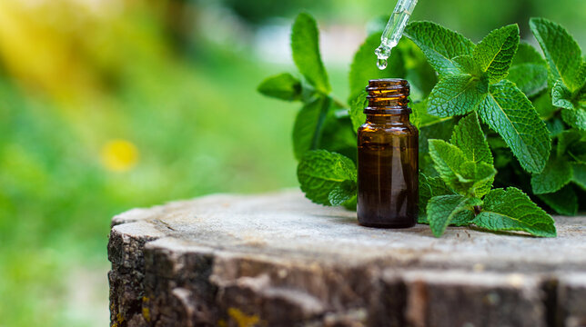 Peppermint essential oil in a bottle. Selective focus.