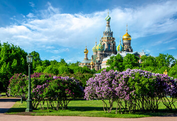 Spring Petersburg. Cathedral of the Savior on Spilled Blood in Saint Petersburg, Russia