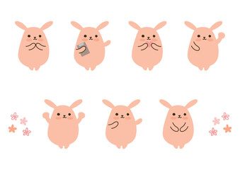 かわいいうさぎ、セット