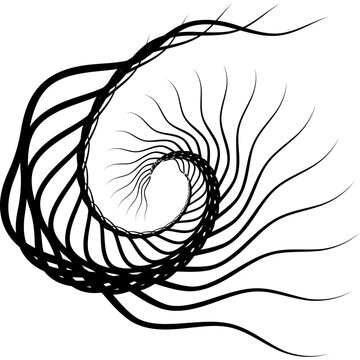 recommend clip art: illustration of seashell