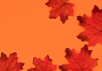 Autumn leaves lie in the form of a frame on the orange background. Autumn background. Flatlay. Top view. Place for text.