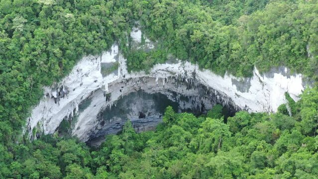 Looking down into cave opening Philippines Jungle middle of forest