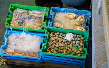 Industrial catch of fresh fish Fish auction for wholesalers and restaurants, 