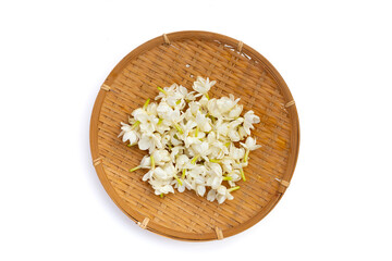 Thai jasmine flower on white background.