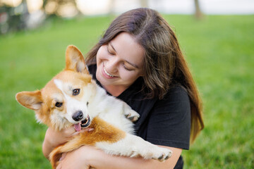 Portrait of adorable, happy dog of the corgi breed in the park on the green grass at sunset. The girl hugs and strokes her beloved pet.