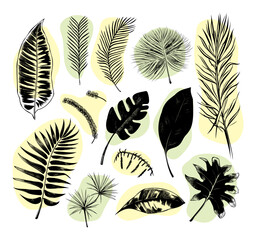 Fototapeta premium illustration set of tropical plants and leaves, hand drawn style, outline sketch.