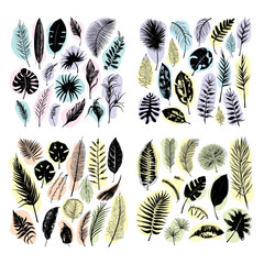 illustration set of tropical plants and leaves, hand drawn style, outline sketch.