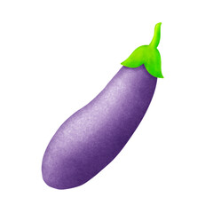 Hand drawn watercolor long purple eggplant vegetable