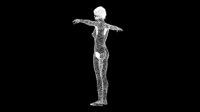 3D naked woman rotates on black bg. Medical animation of a woman with breast. 3d female or woman anatomy. Body biology medicine education concept. For title, text, presentation. 3d animation 60 FPS
