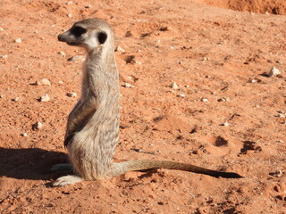 Kgalagadi & Augrabies 