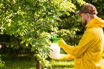 The gardener sprays apple tree in the garden with a spray bottle. Pest control concept. Caring for...