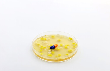 A Petri dish with colonies of various species of bacteria in which there is a pill or antibiotic. Resistance of germs to medicines