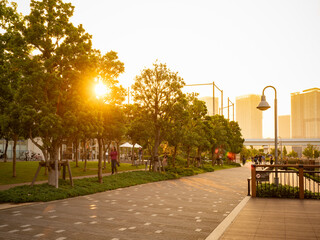 豊洲ぐるり公園の夕景　水辺の風が気持ち良い