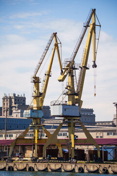 Container terminal, with cranes, in a commercial port