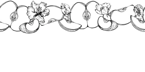 Hand drawn ink apple fruits ripe, slices, monochrome vector, detailed outline, flowers Seamless horizontal banner Isolated on white background Design for wall art, wedding, print, fabric, cover, card.