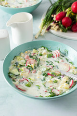 Cold summer soup Okroshka, soup with vegetables and sausage, eggs and fresh herbs and yogurt, traditional Russian soup
