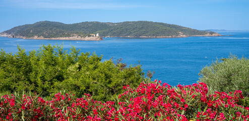 Ile, mer et fleurs