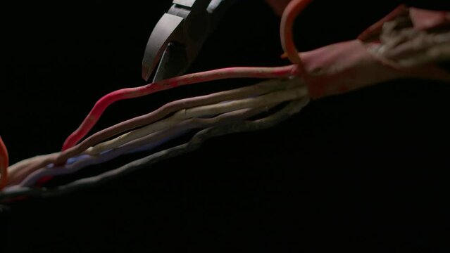 Bomb Disposal Technician Cuts a Copper Cable With Wire Cutters in Extreme Macro. Slow-motion macro shot of wire cutters slicing through a copper cable, suggestive of bomb disposal or disarmament.