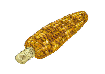 焼きとうもろこしのイラスト（水彩風）